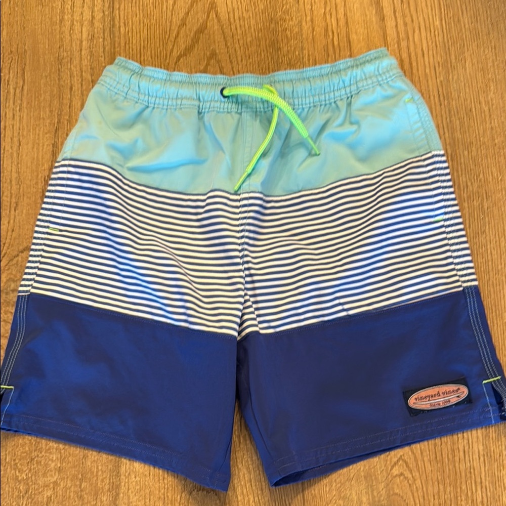 Vineyard Vines Blue Striped Swim Shorts
